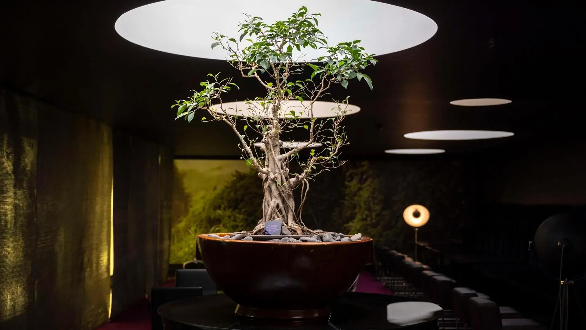 Hotel Doubletree By Hilton Lisbon Fontana Park Portugal